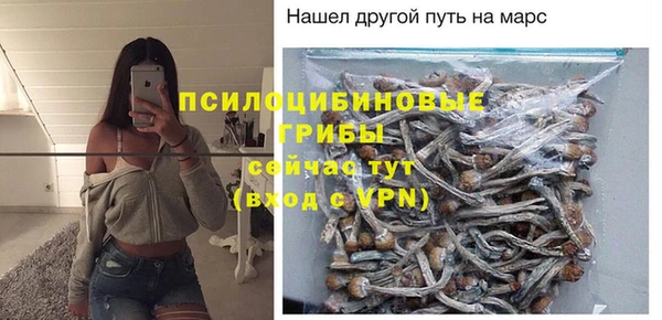 Альфа ПВП Вязьма