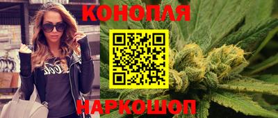 прущие грибы Баксан