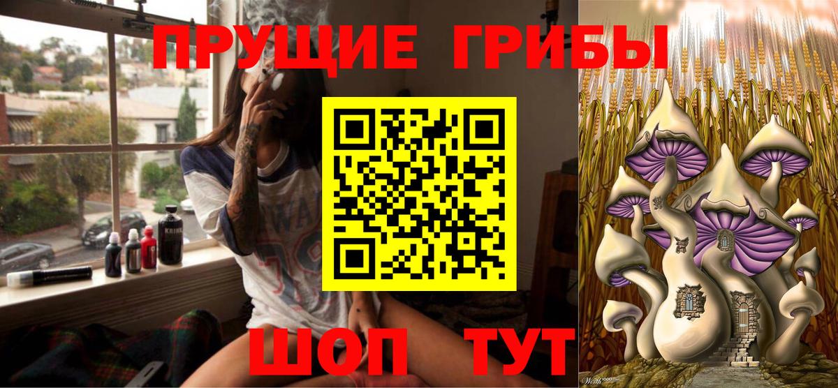 Галлюциногенные грибы Cubensis  Вход с VPN  где купить наркоту  Курган  Галлюциногенные грибы Psilocybine cubensis 
